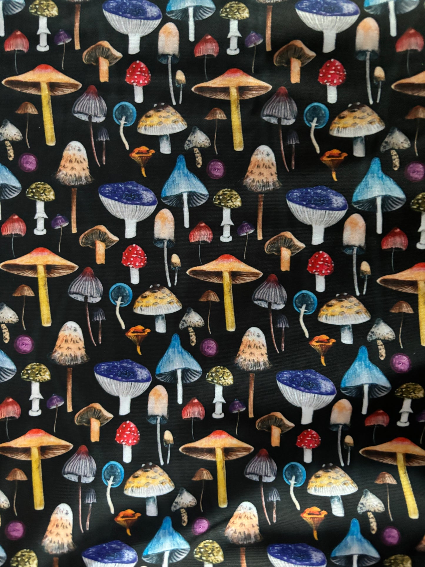 Made to Order: LIMITED PRINTS - Shrooms AQUAS (or Normal)
