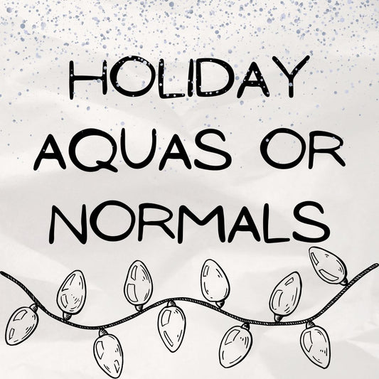 PREORDER: LIMITED PRINT - Winter Holiday (Aqua or normals)
